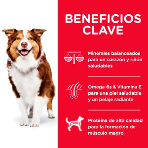 HILLS ADULTO 7 + RAZA GRANDE CHIKEN MEAL 15 LB HILLS ADULTO 7 + RAZA GRANDE CHIKEN MEAL 15 LB