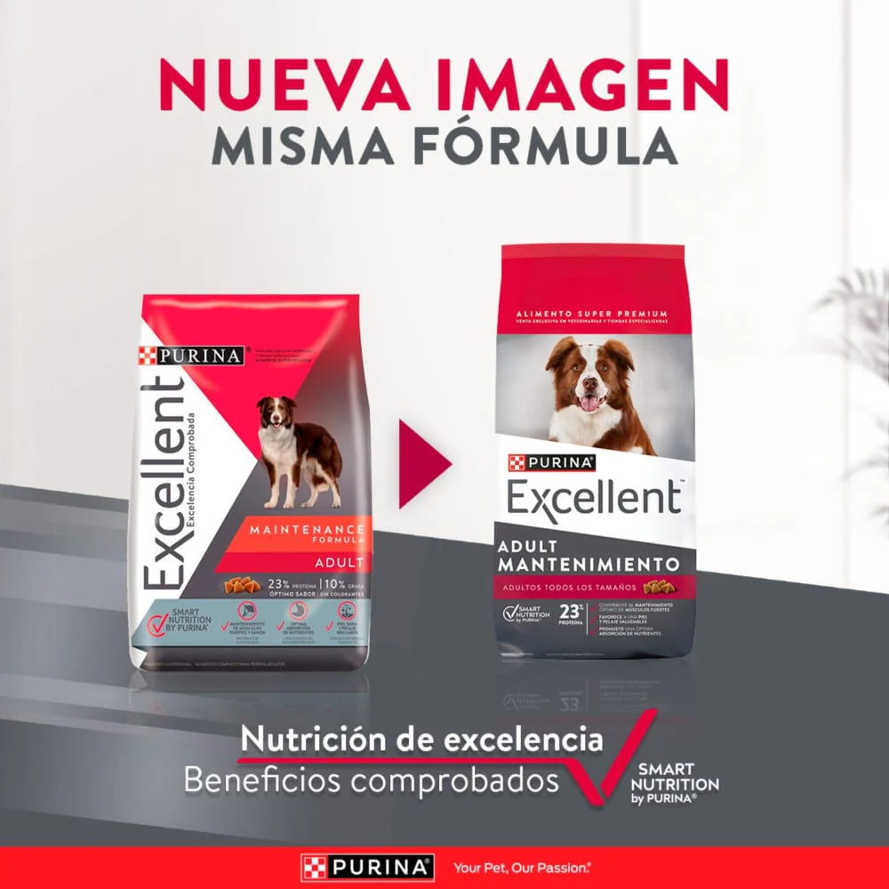 EXCELLENT ADULTO PERRO MANTENIMIENTO 2 EXCELLENT ADULTO PERRO MANTENIMIENTO 2