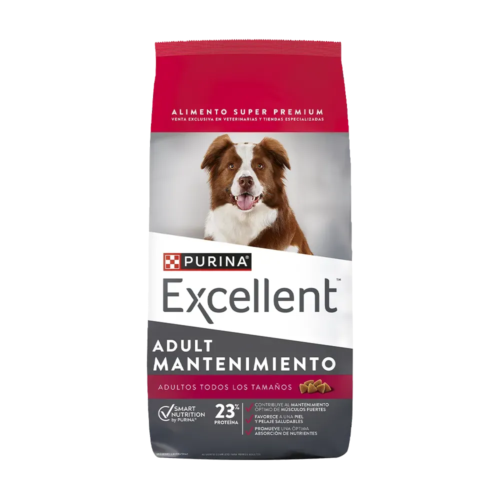 EXCELLENT ADULTO PERRO MANTENIMIENTO EXCELLENT ADULTO PERRO MANTENIMIENTO