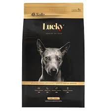 lucky adulto raza mediana lucky adulto raza mediana