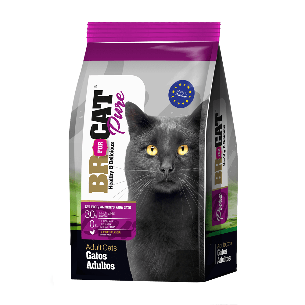 BR FOR CAT ADULTO CHICKEN BR FOR CAT ADULTO CHICKEN