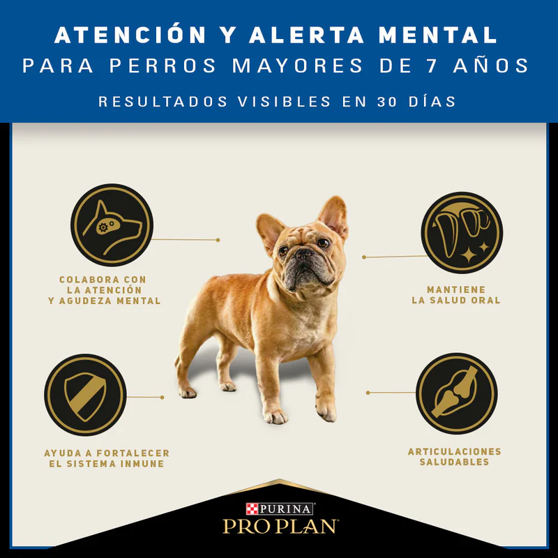 PROPLAN ACTIVE MIND RAZA PEQUEÑA 3 PROPLAN ACTIVE MIND RAZA PEQUEÑA 3