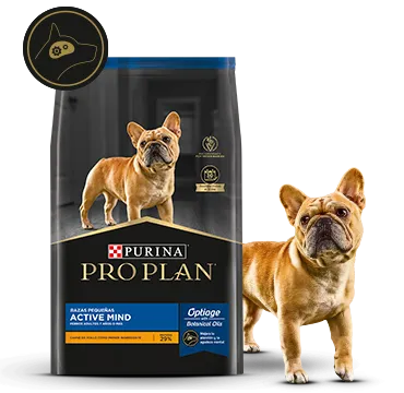 PROPLAN ACTIVE MIND RAZA PEQUEÑA PROPLAN ACTIVE MIND RAZA PEQUEÑA